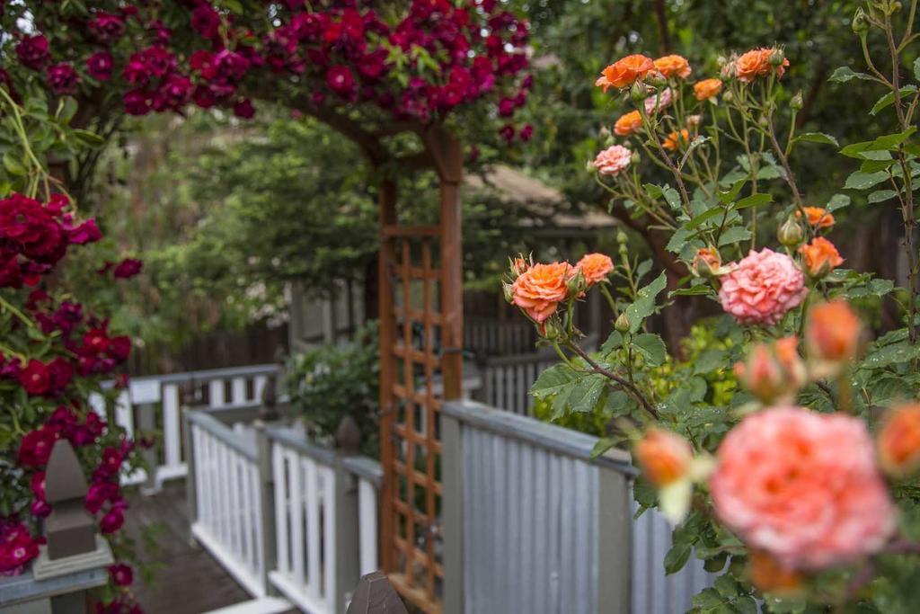 Forfriends Inn Wine Country Bed And Breakfast Santa Ynez Exteriör bild
